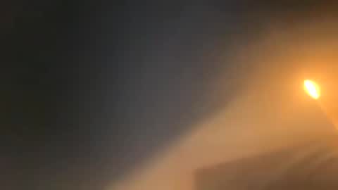 Zoey Portland online show from September 10, 10:48 am