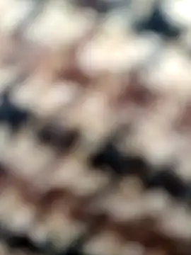 Misscata1106 online show from October 29, 7:16 pm