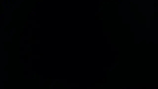 sara winehouse1 online show from December 2, 7:27 pm