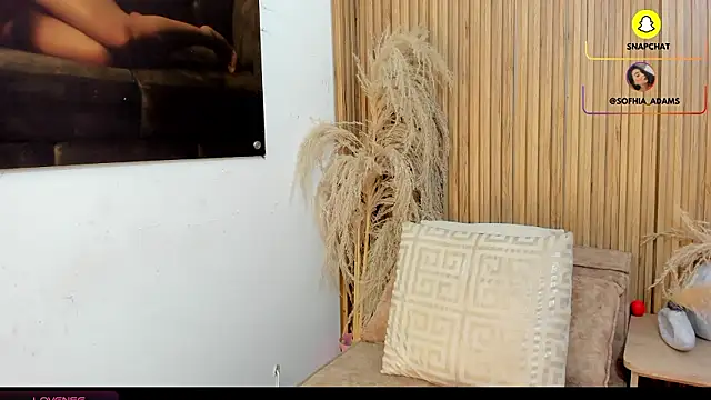 sofhiaa adaams online show from February 20, 10:43 pm