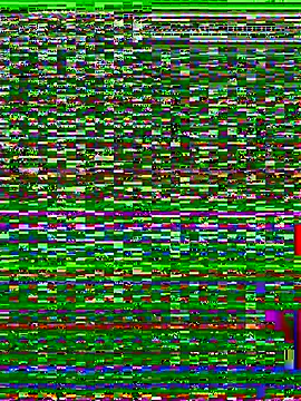 Blossom26 online show from November 5, 9:14 am