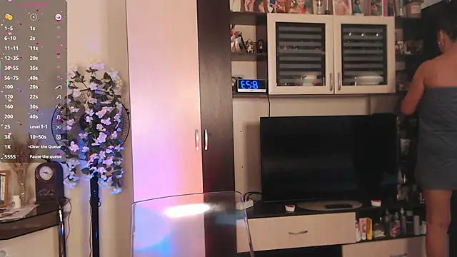 SheilaRyan online show from November 3, 5:22 am