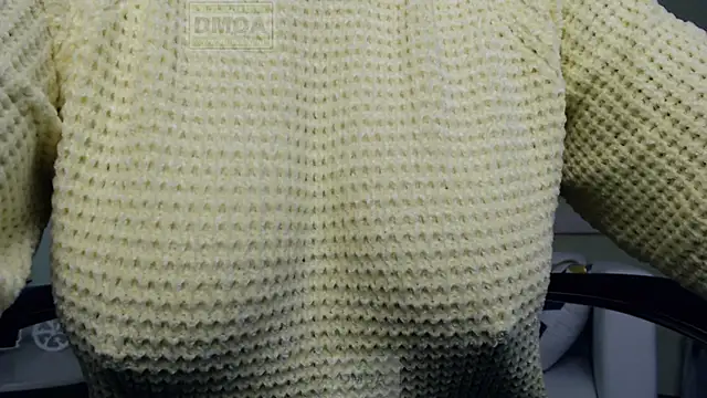 Lily flower7 online show from December 1, 9:24 am