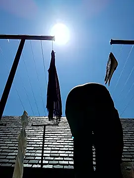 NiftyNora online show from February 11, 8:16 am