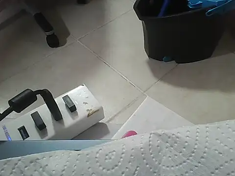 zoetits online show from November 15, 12:44 am