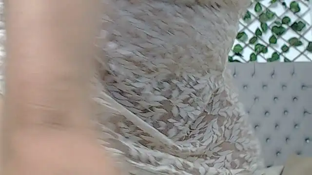 chanel grant online show from February 10, 7:50 pm