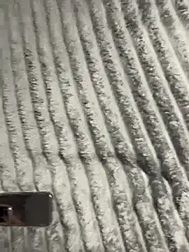 Fregida online show from February 22, 4:30 pm