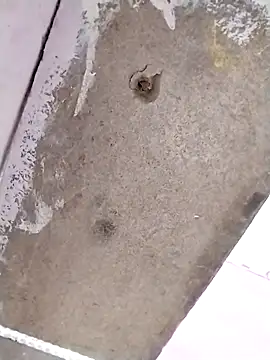 Snapshot of khanZaadii chatting on October 16, 7:05 pm khanZaadii online show from October 16, 7:05 pm