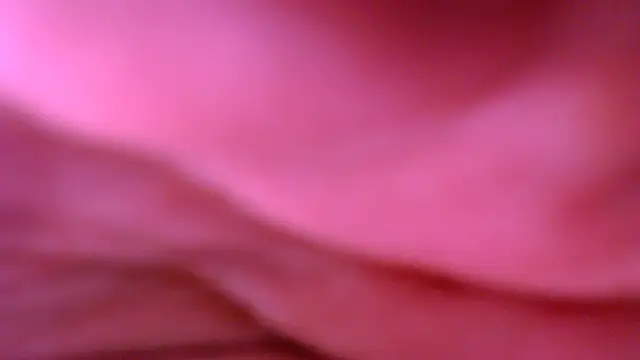 xxxxxchiaratsxxxxx online show from November 21, 4:36 am