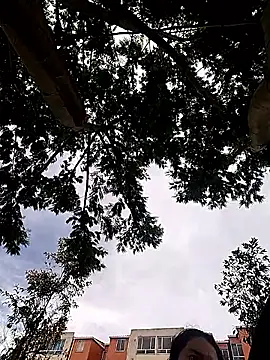 rebekka simpson online show from October 6, 2:56 pm