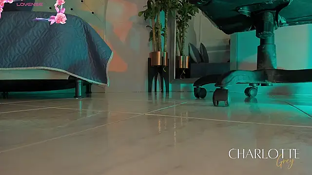 charlotte  grey online show from February 9, 8:11 pm