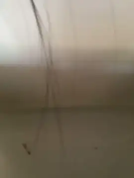 Snapshot of Pretty_Isadora chatting on October 21, 3:38 pm Pretty Isadora online show from October 21, 3:38 pm