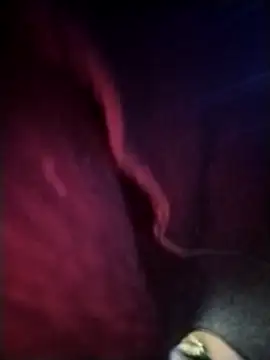 The-quee22 online show from September 28, 4:30 am