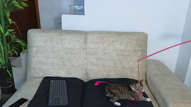 Lorenne Miller online show from October 19, 4:58 am