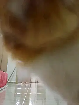 Abbyjonhson   online show from November 7, 5:18 pm