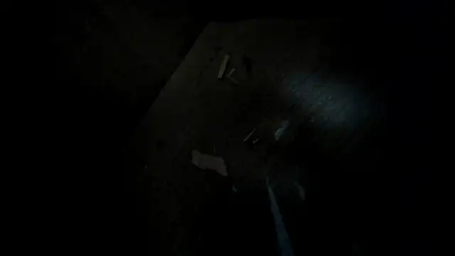 evely coelloo online show from February 2, 1:59 am