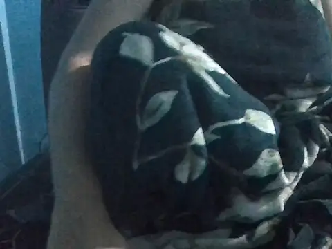 bihari hu4 online show from September 18, 6:50 pm