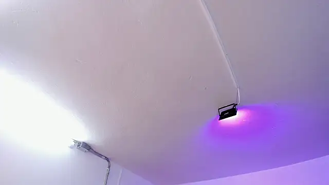 Amy Kiitty  online show from February 15, 12:59 pm