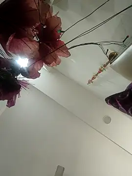 Archi-07 online show from November 28, 5:49 pm