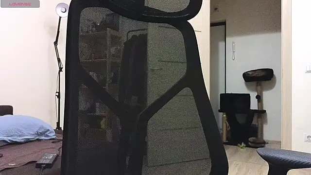 Space X Roxy  online show from November 9, 5:42 pm