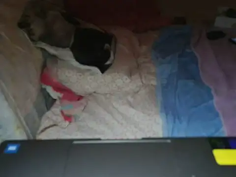 VeneRed online show from January 9, 9:52 pm