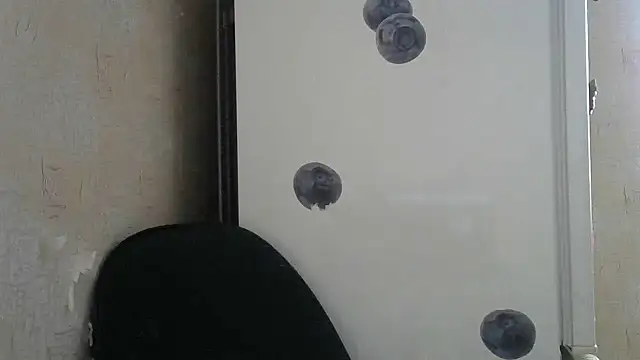 Honeydew-Waves online show from November 18, 11:00 am