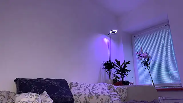 PaulaPratt online show from December 3, 11:01 am