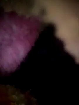 Hotbeauty-telugu online show from November 14, 6:41 pm