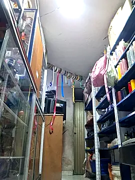 nidia2026 online show from November 29, 9:30 pm