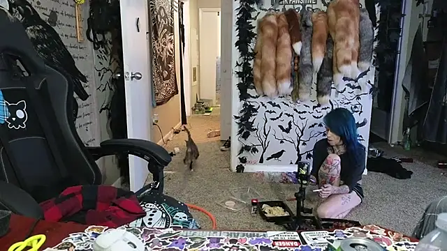 trashbrat online show from November 14, 6:24 am