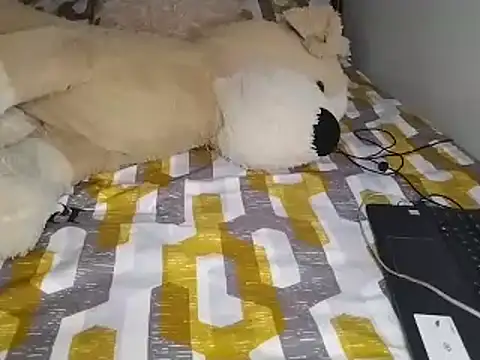 Chandy012 online show from December 4, 1:24 pm