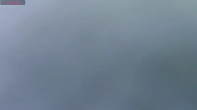 Ivy Ann online show from October 2, 8:25 pm