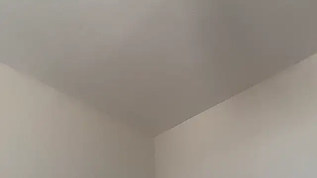 skyejde online show from February 14, 9:22 am