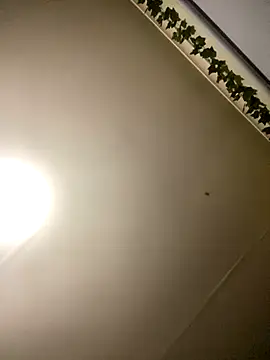 1Zoey101 online show from December 16, 12:00 pm