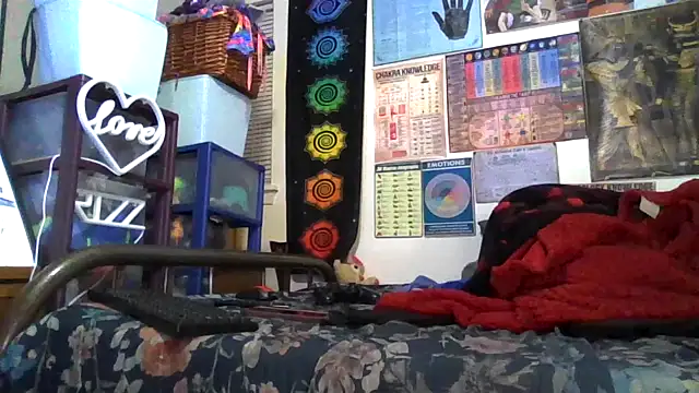 GardeniaFields online show from November 7, 8:09 am