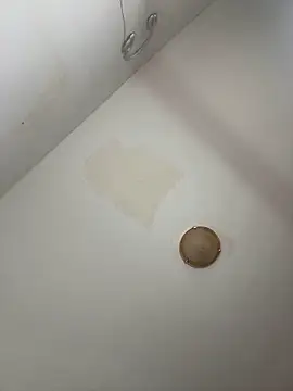 DarkVelvet online show from November 14, 12:05 pm