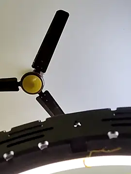 radhika2 online show from October 17, 3:04 pm