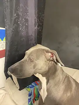 cam11 07 online show from March 1, 10:20 pm