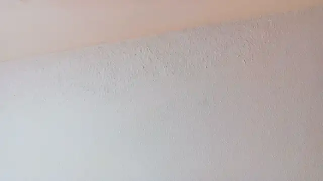 loreaniss online show from January 10, 8:57 pm