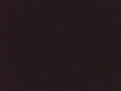 Laurenflex online show from October 3, 2:00 pm