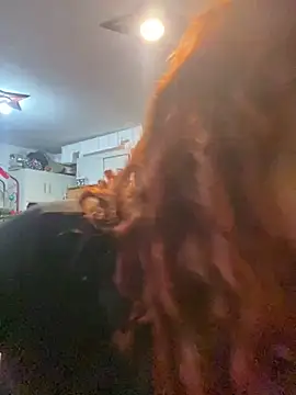 haally-mll online show from December 20, 9:52 pm