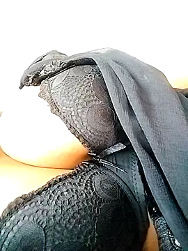 Ponds beauty online show from September 26, 5:16 am