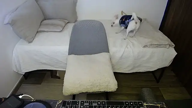 bossking017 online show from February 20, 4:30 pm