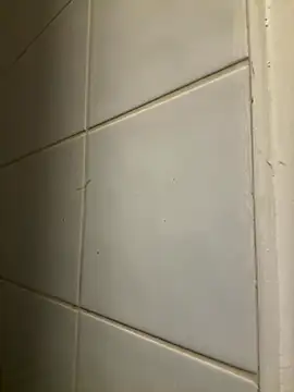 raen001 online show from November 6, 8:48 pm