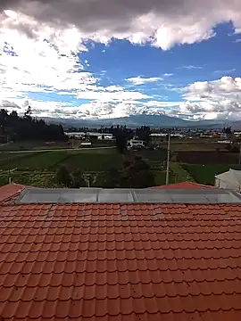 tutermitoa online show from November 2, 9:18 pm