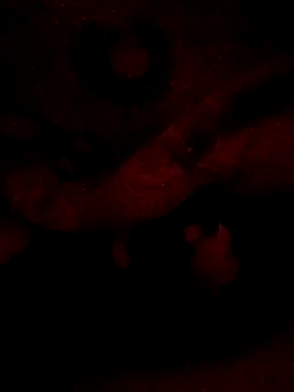 sarahkat86 online show from February 20, 6:26 am