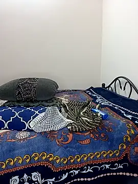 Chadni kannada online show from February 28, 4:50 pm