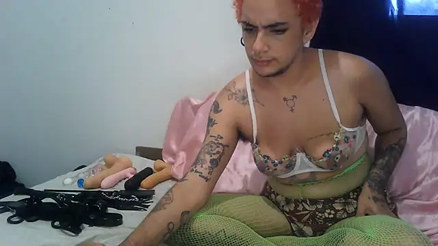 ttransviado online show from September 24, 10:03 am