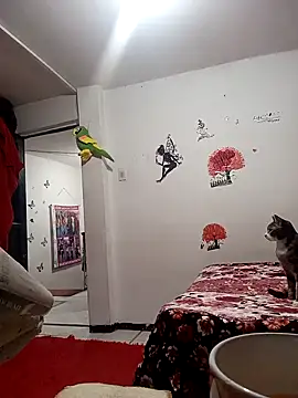 Lady 16 online show from December 2, 2:02 am