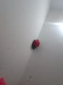 sexyshreyacdbottom online show from January 19, 5:03 am